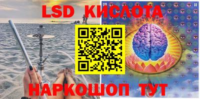 стафф Будённовск