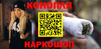 стафф Будённовск