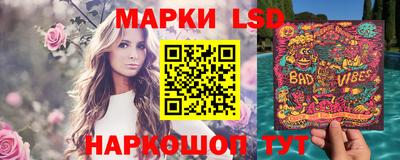 стафф Будённовск