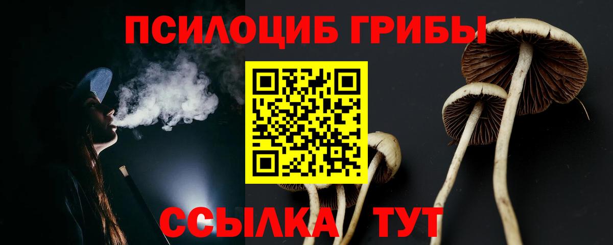 Галлюциногенные грибы GOLDEN TEACHER  магазин продажи   Псилоцибиновые грибы Magic Shrooms  Ржев  Вход с VPN 